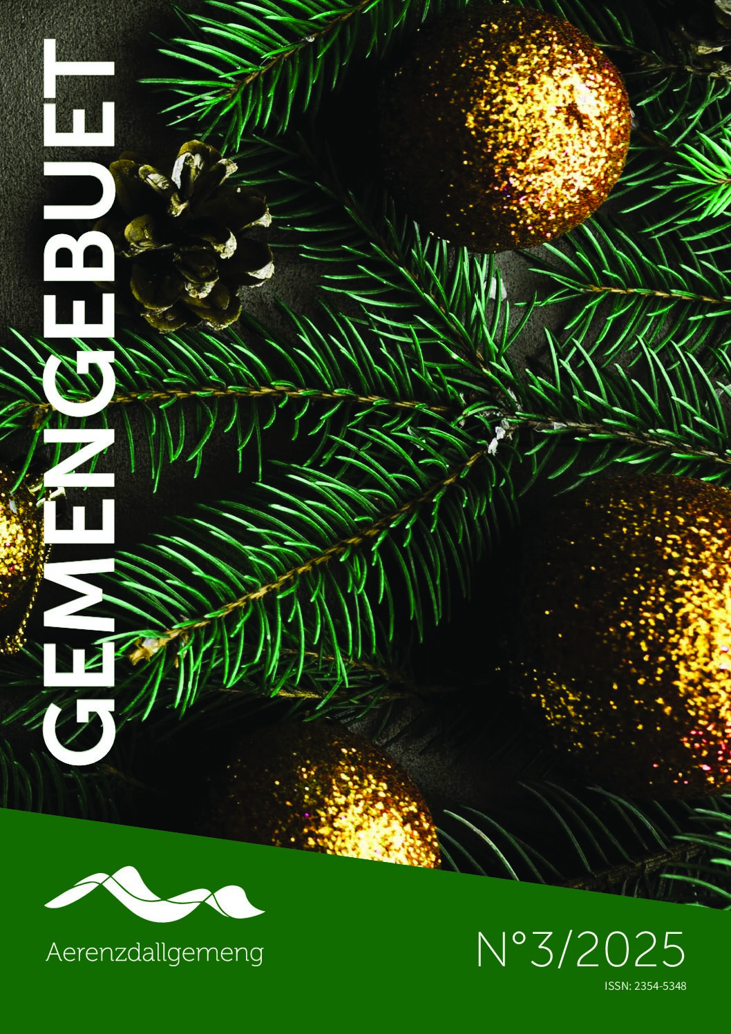 Gemengebuet N°2025/3