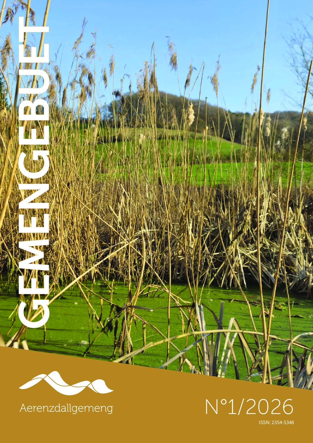 Gemengebuet N°2026/1